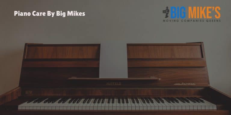 Piano Care By Big Mikes